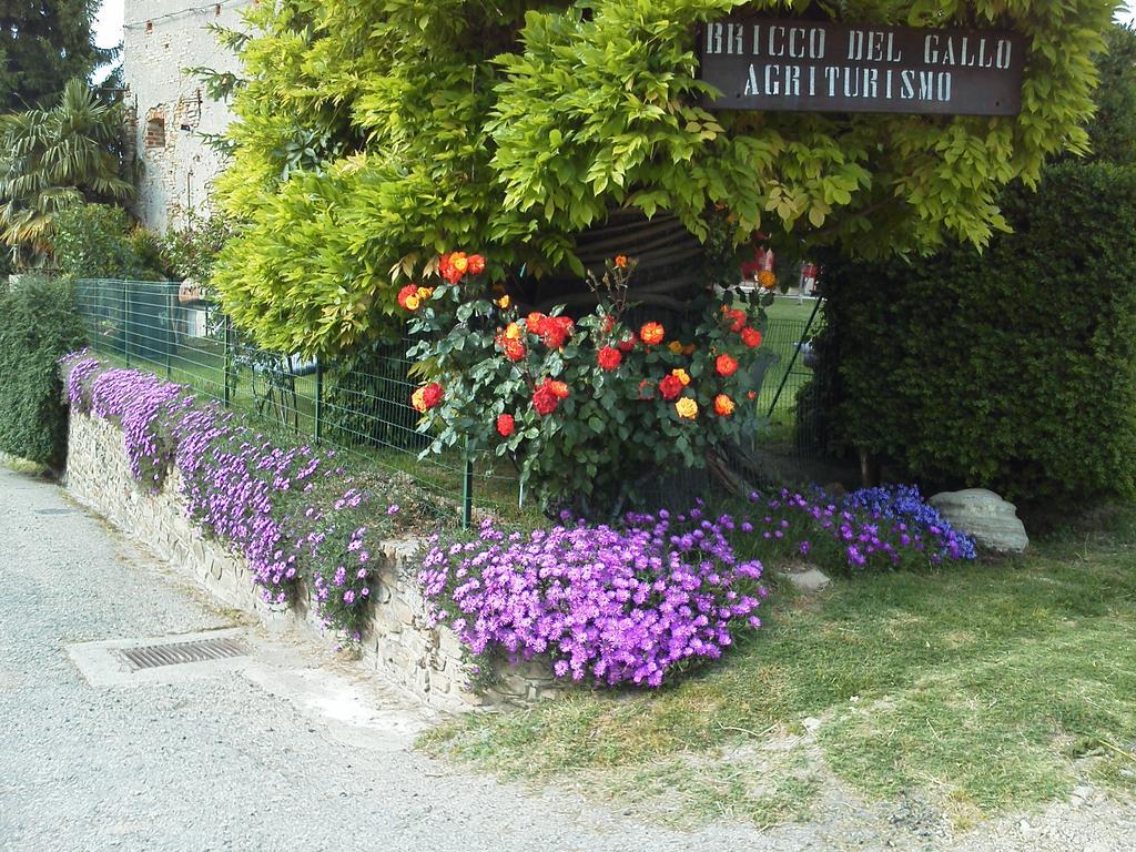 Bricco Del Gallo Синио Экстерьер фото